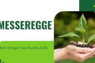 Messeregge