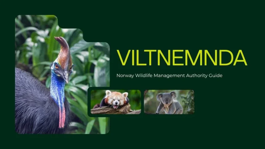 Viltnemnda