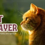 Cat Prayer