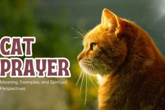 Cat Prayer