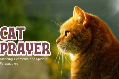 Cat Prayer